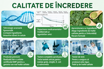 🎊Magazin Oficial | 🌿 GLORENDA® Moringa · Berberină × NAD+ Plasture Avansat Nano cu Microace 10 în 1 (Doar o dată pe zi, schimbări vizibile în 7 zile) ✅ Pentru obezitate, piele lăsată, diabet, apnee în somn, probleme articulare și multe altele（副本）
